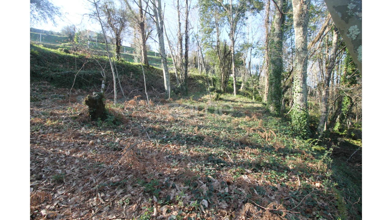 Terreno para Venda em Refojos de Basto, Outeiro e Painzela Foto 3