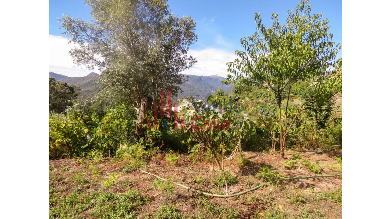 Moradia T3 para Venda em Ventosa e Cova Foto 14