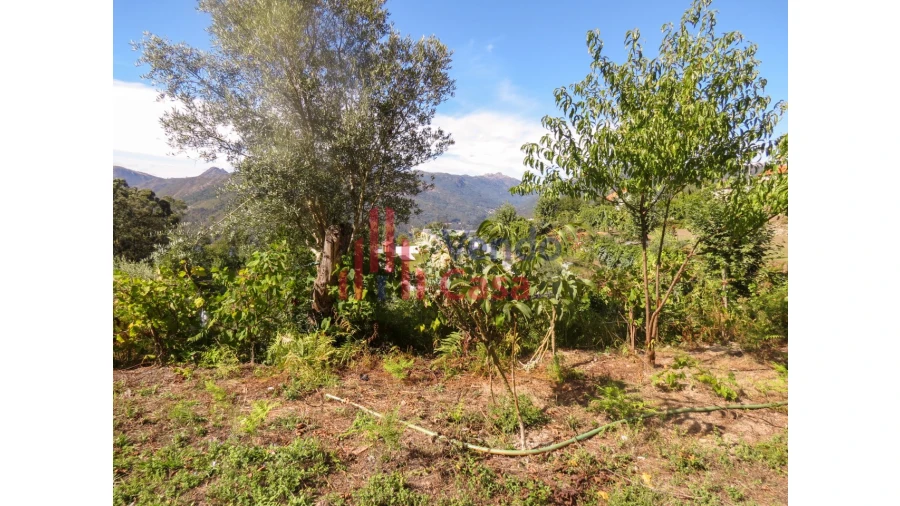 Moradia T3 para Venda em Ventosa e Cova Foto 14