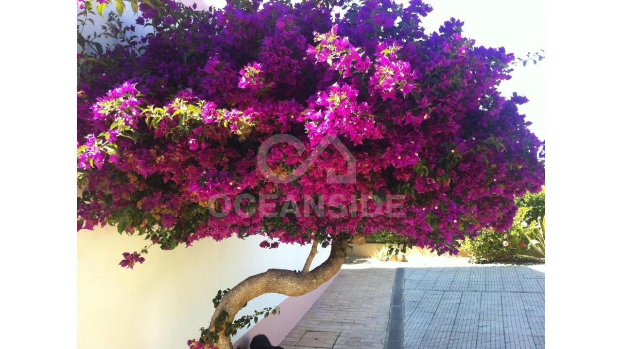 Apartamento para Venda em Vila de Sagres Foto 7