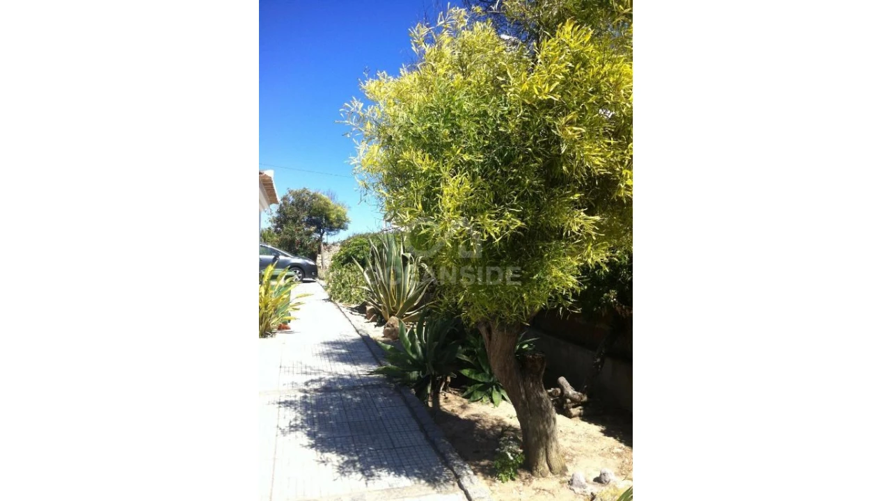 Apartamento para Venda em Vila de Sagres Foto 8