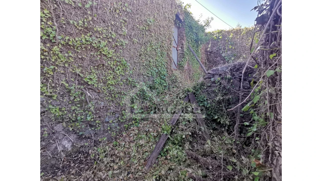 Quinta T1 para Venda em Arega Foto 10