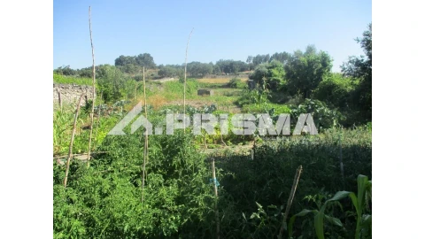 Terreno para Venda em Alcains