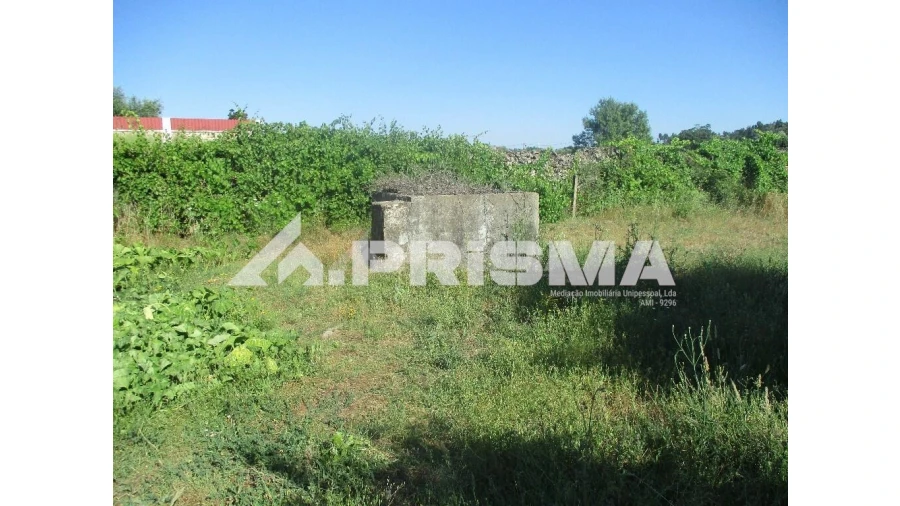 Terreno para Venda em Alcains Foto 3
