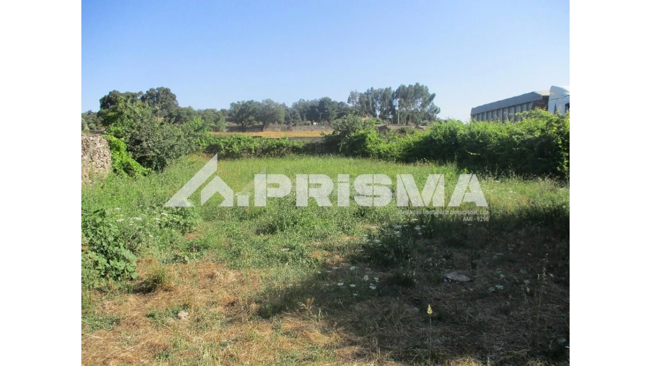 Terreno para Venda em Alcains Foto 5