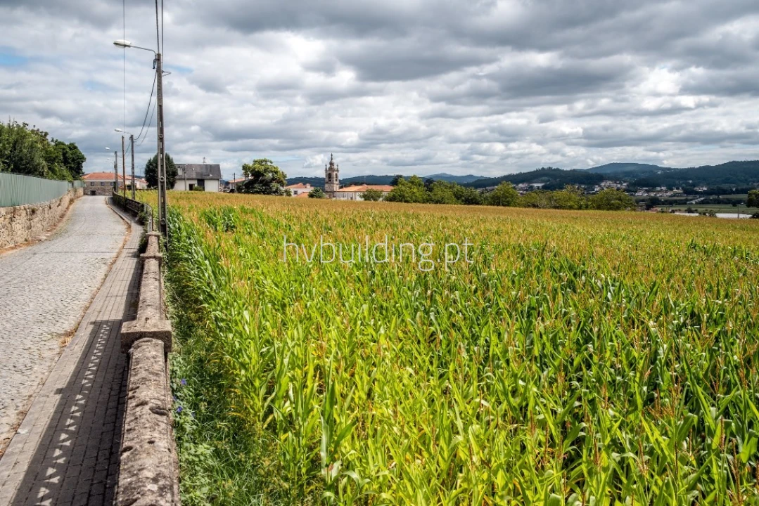 Terreno para Venda em Viatodos, Grimancelos, Minhotães, Monte Fralães Foto 3