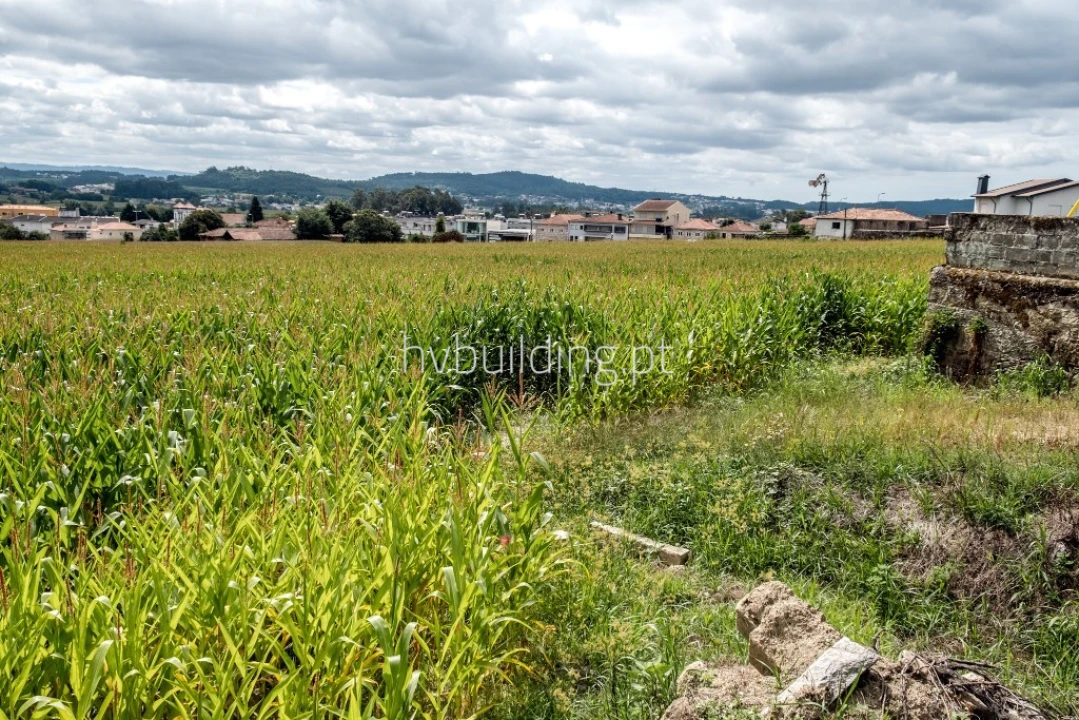Terreno para Venda em Viatodos, Grimancelos, Minhotães, Monte Fralães Foto 2