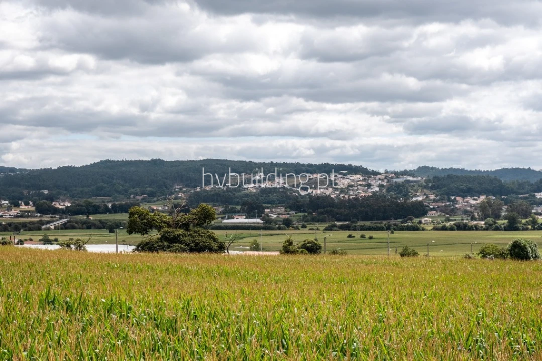 Terreno para Venda em Viatodos, Grimancelos, Minhotães, Monte Fralães Foto 6