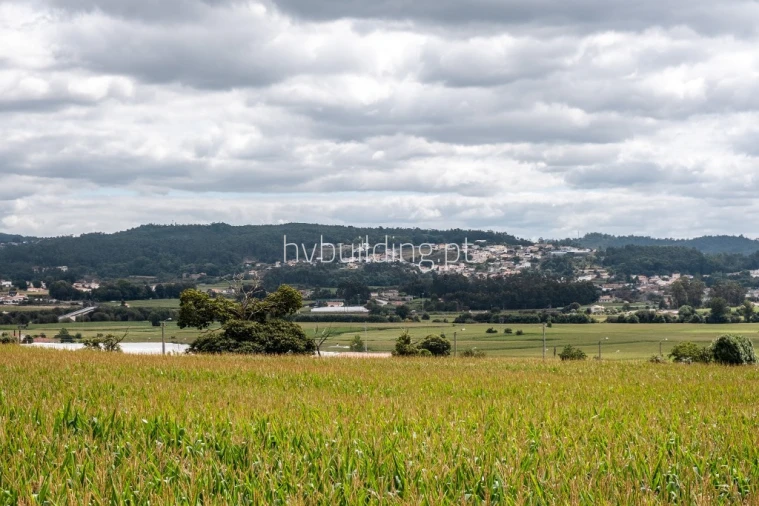 Terreno para Venda em Viatodos, Grimancelos, Minhotães, Monte Fralães Foto 6