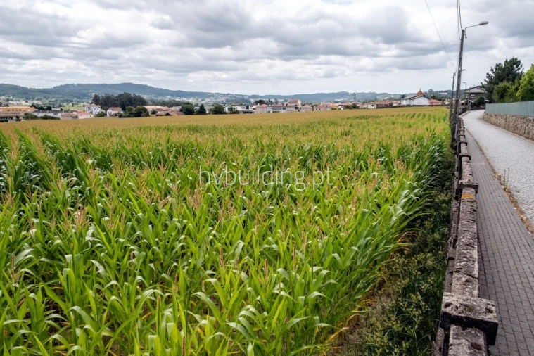 Terreno para Venda em Viatodos, Grimancelos, Minhotães, Monte Fralães Foto 11
