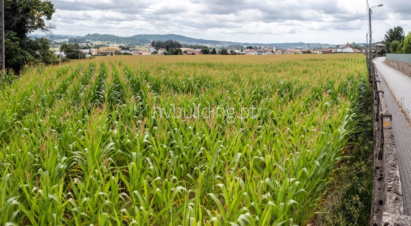 Terreno para Venda em Viatodos, Grimancelos, Minhotães, Monte Fralães Foto 10