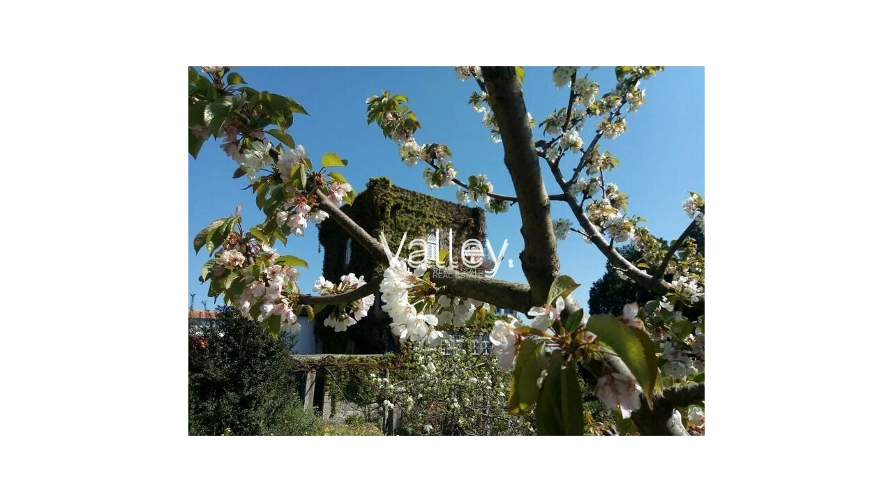 Quinta T9 para Venda em Viatodos, Grimancelos, Minhotães, Monte Fralães Foto 10