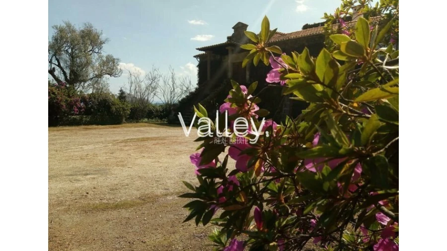 Quinta T9 para Venda em Viatodos, Grimancelos, Minhotães, Monte Fralães Foto 9