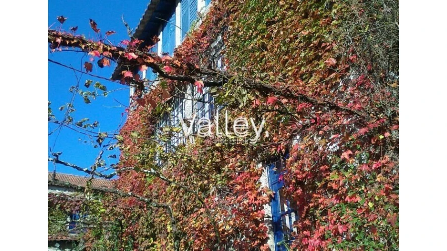 Quinta T9 para Venda em Viatodos, Grimancelos, Minhotães, Monte Fralães Foto 14