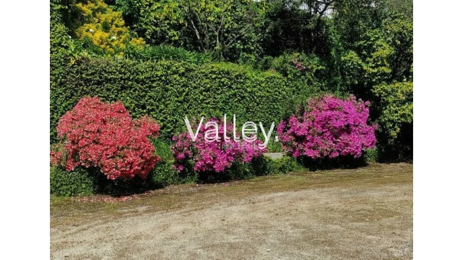 Quinta T9 para Venda em Viatodos, Grimancelos, Minhotães, Monte Fralães Foto 15