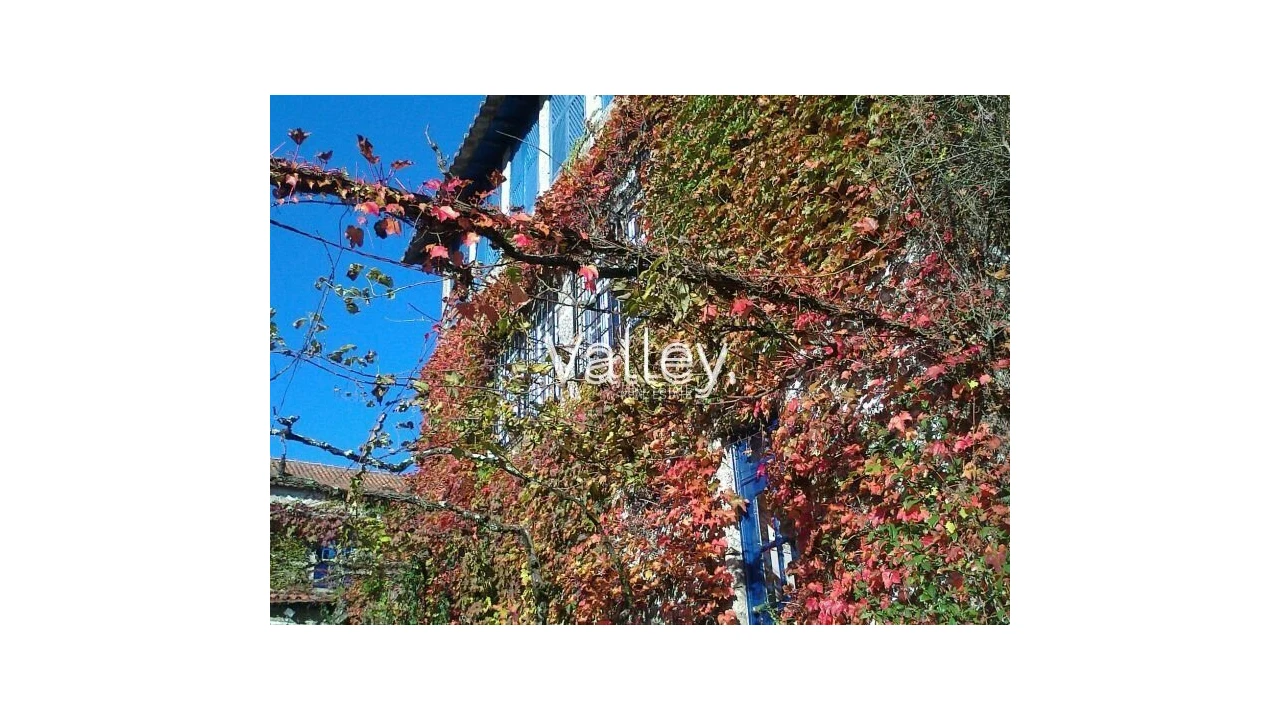 Quinta T9 para Venda em Viatodos, Grimancelos, Minhotães, Monte Fralães Foto 14