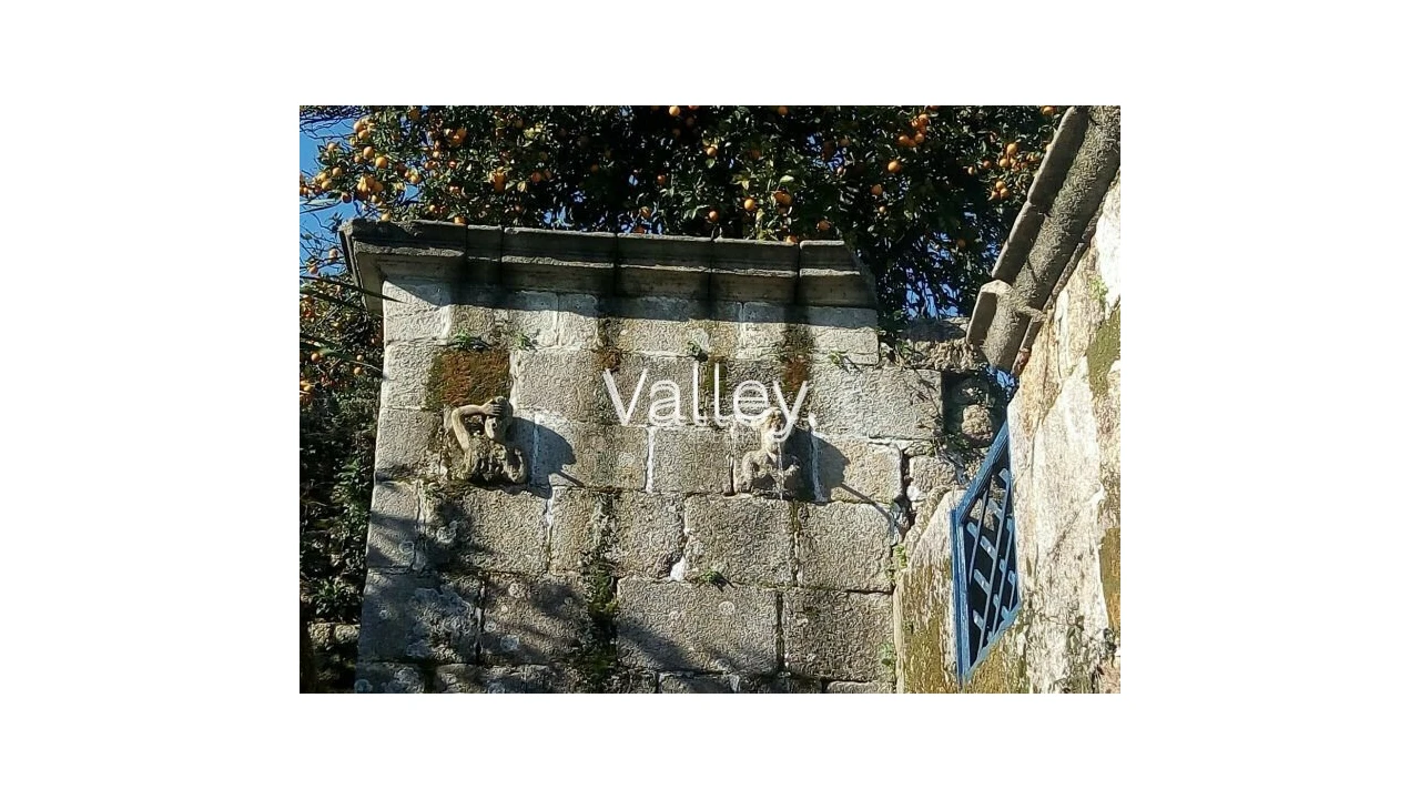 Quinta T9 para Venda em Viatodos, Grimancelos, Minhotães, Monte Fralães Foto 11