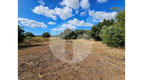 Moradia para Venda em Moncarapacho e Fuseta