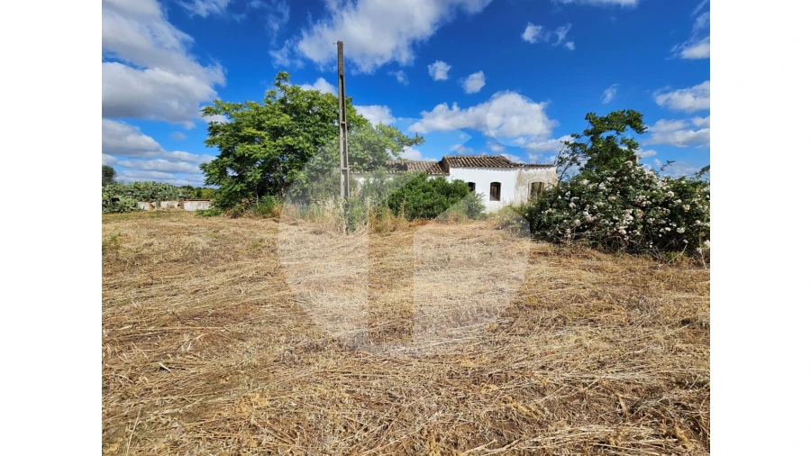 Moradia para Venda em Moncarapacho e Fuseta Foto 11