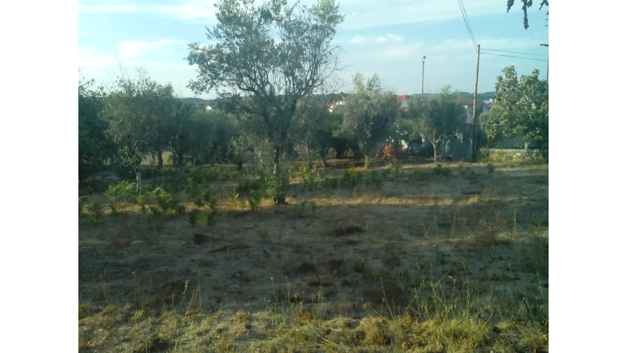 Moradia T0 para Venda em Santiago de Cassurrães e Póvoa de Cervães Foto 7