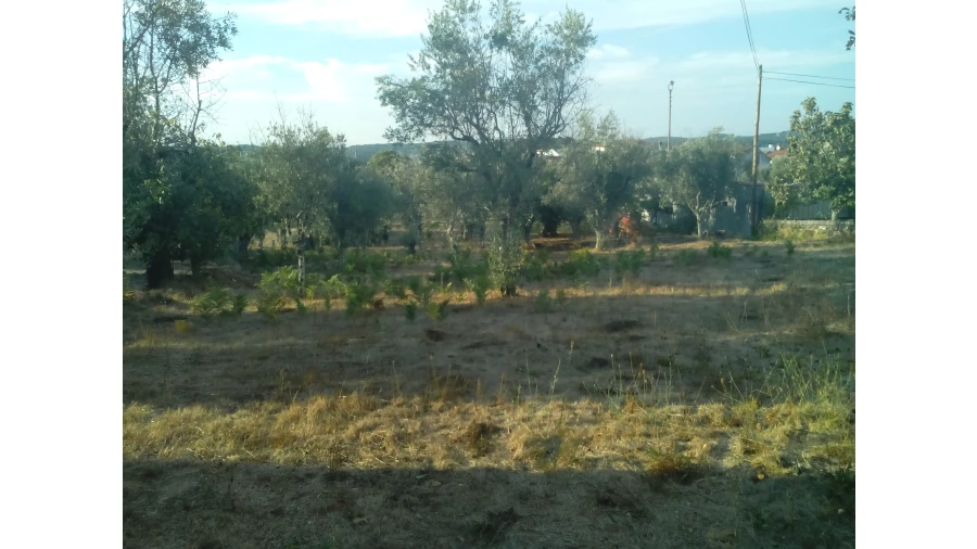 Moradia T0 para Venda em Santiago de Cassurrães e Póvoa de Cervães Foto 6