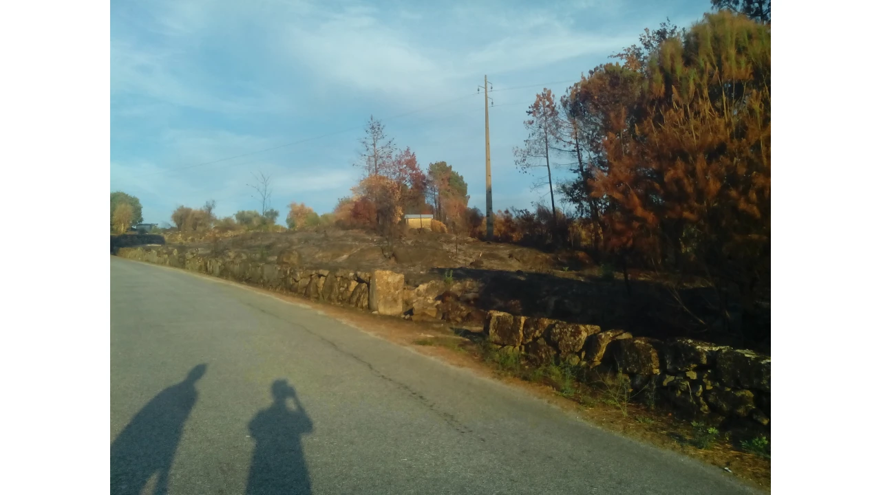 Terreno para Venda em Santiago de Cassurrães e Póvoa de Cervães Foto 1