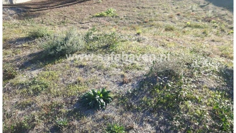 Terreno para Venda em Mangualde, Mesquitela e Cunha Alta