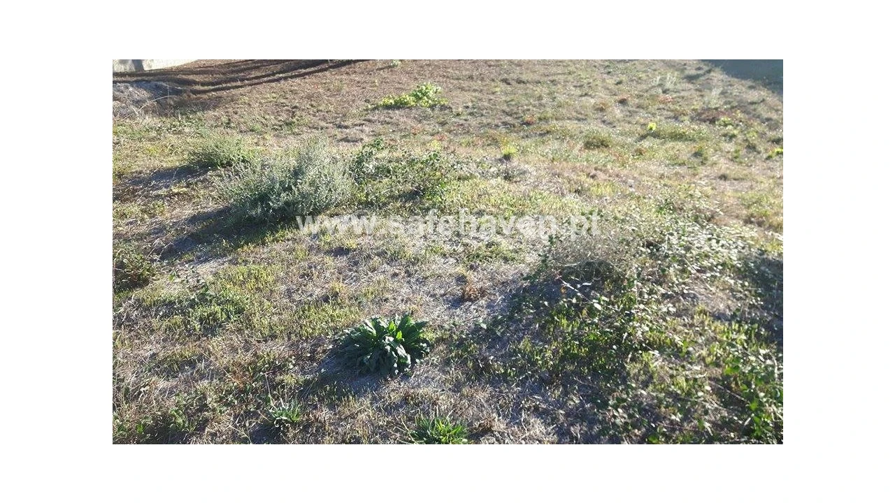Terreno para Venda em Mangualde, Mesquitela e Cunha Alta Foto 1