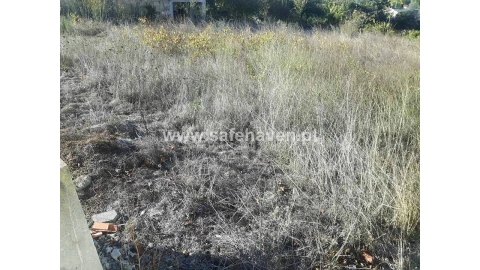 Terreno para Venda em Mangualde, Mesquitela e Cunha Alta