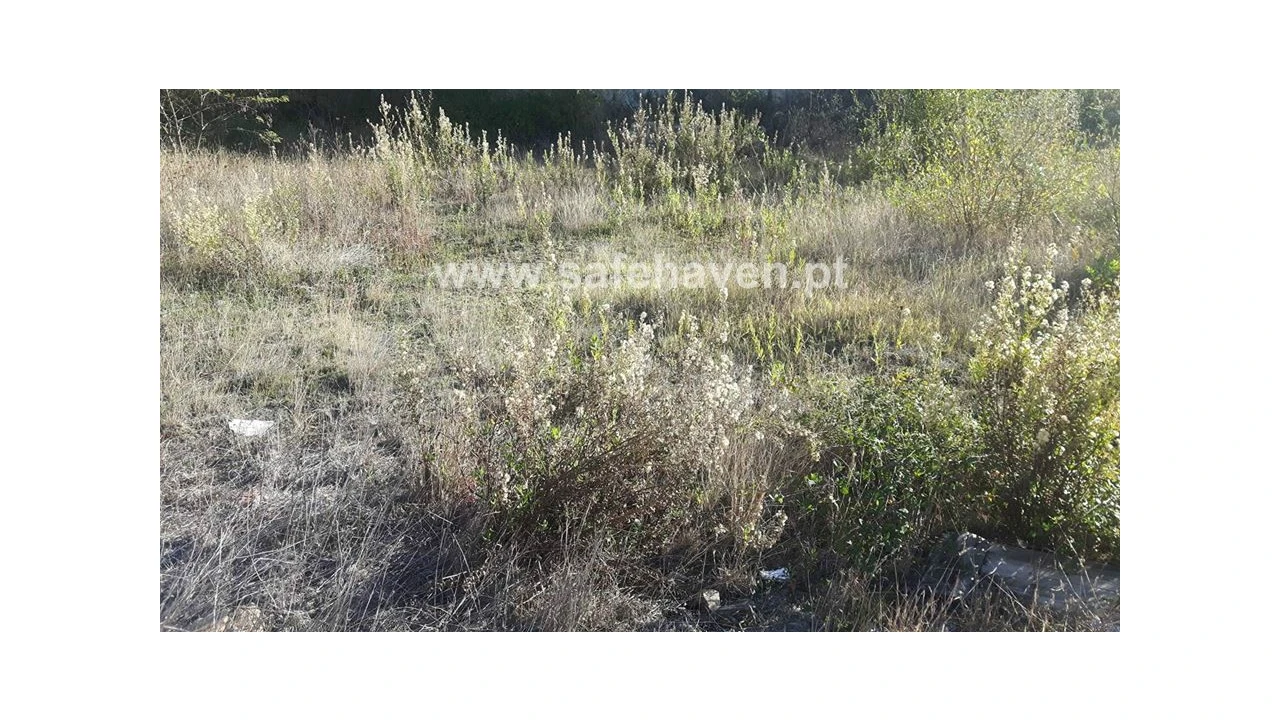 Terreno para Venda em Mangualde, Mesquitela e Cunha Alta Foto 1