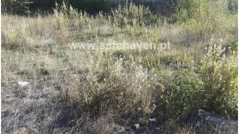 Terreno para Venda em Mangualde, Mesquitela e Cunha Alta