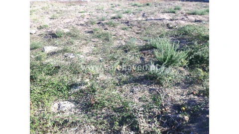 Terreno para Venda em Mangualde, Mesquitela e Cunha Alta