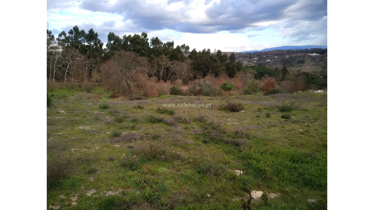Terreno para Venda em Mangualde, Mesquitela e Cunha Alta Foto 1