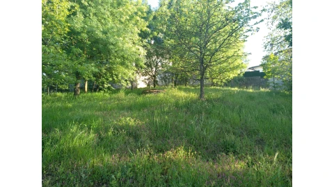 Terreno para Venda em Mangualde, Mesquitela e Cunha Alta