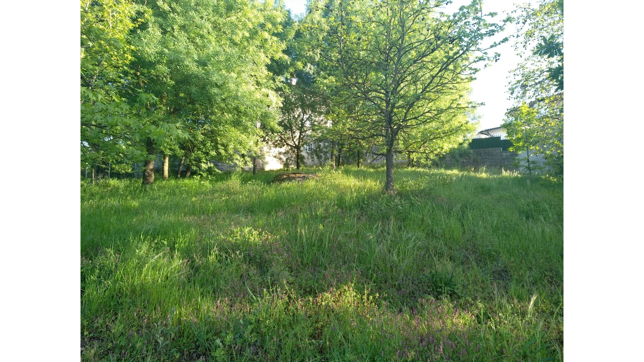Terreno para Venda em Mangualde, Mesquitela e Cunha Alta Foto 1