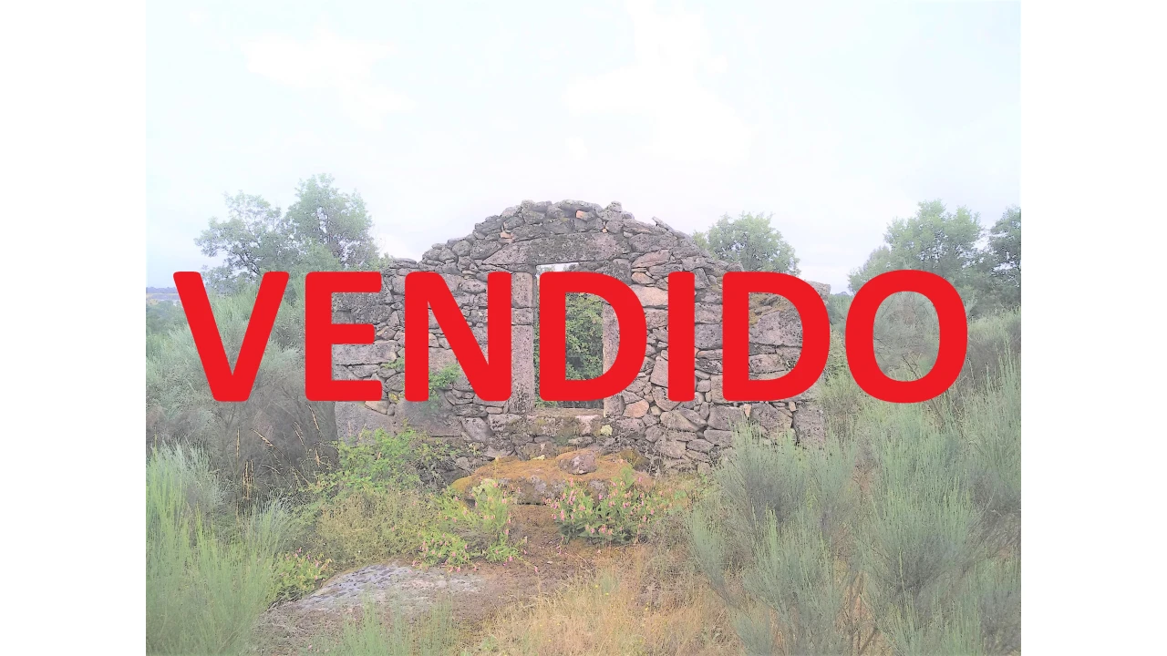 Terreno Agricola ou Rústico para Venda em Tavares (Chãs, Várzea e Travanca) Foto 1