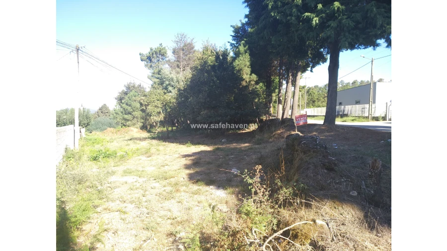 Terreno para Venda em Quintela de Azurara