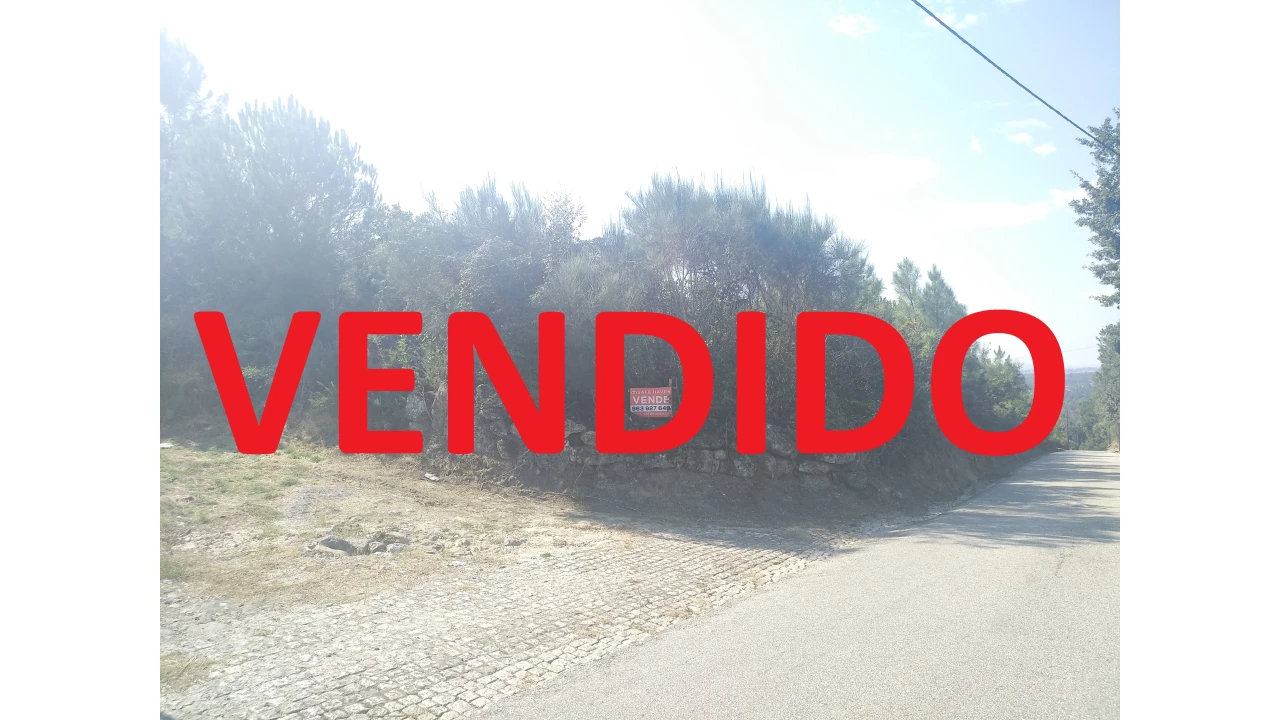 Terreno Comércio / Armazém para Venda em Mangualde, Mesquitela e Cunha Alta Foto 1