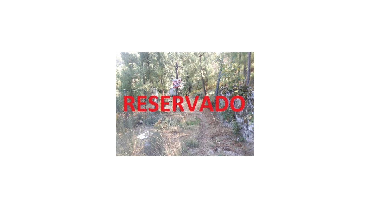 Quinta T0 para Venda em Mangualde, Mesquitela e Cunha Alta Foto 1