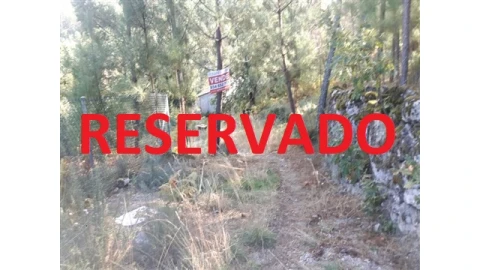 Quinta T0 para Venda em Mangualde, Mesquitela e Cunha Alta