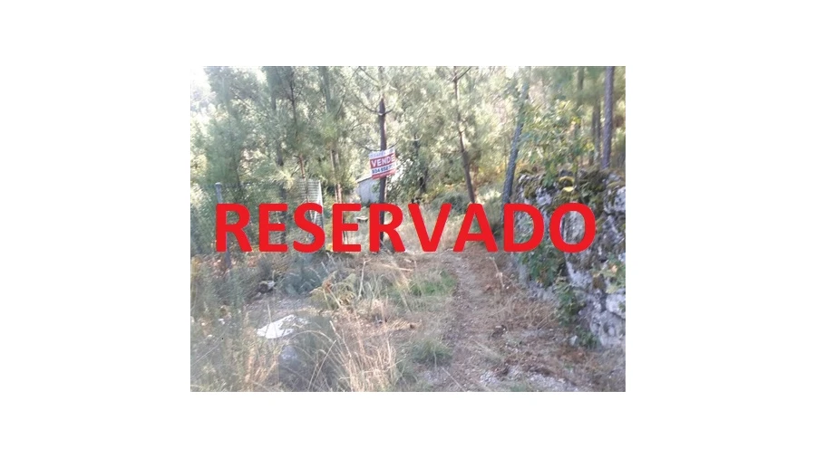 Quinta T0 para Venda em Mangualde, Mesquitela e Cunha Alta Foto 1