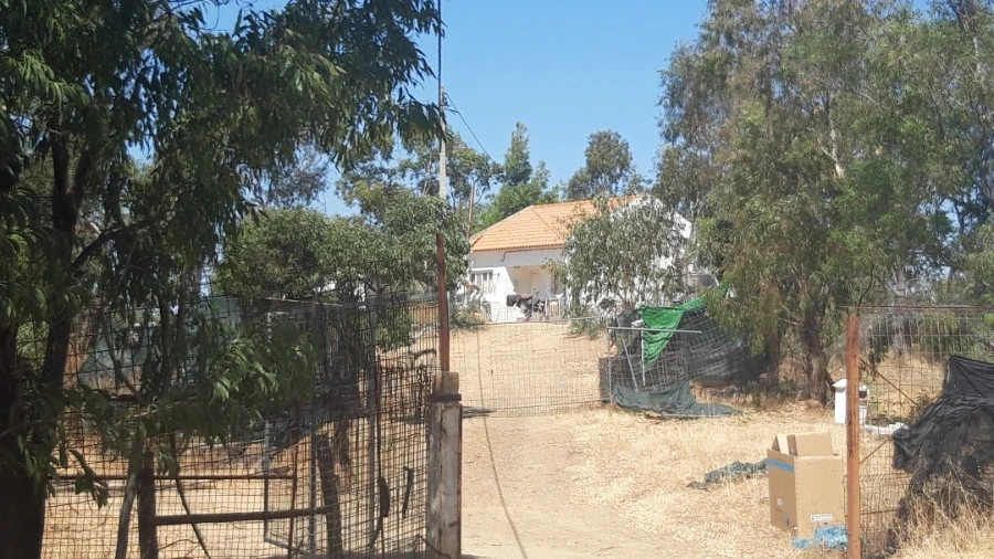 Quinta T0 para Venda em Odeleite