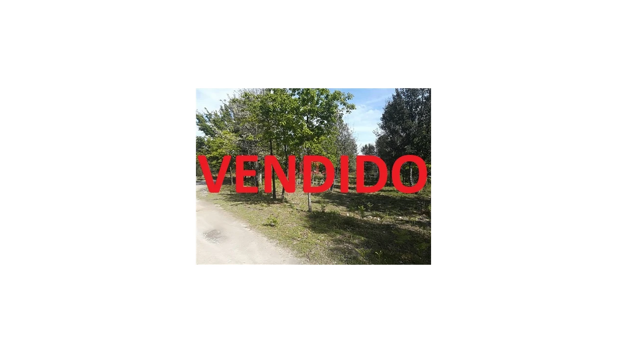 Terreno para Venda em Mangualde, Mesquitela e Cunha Alta Foto 1