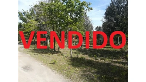 Terreno para Venda em Mangualde, Mesquitela e Cunha Alta
