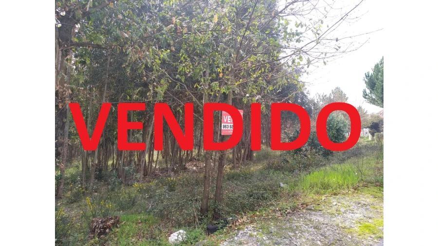 Terreno para Venda em Mangualde, Mesquitela e Cunha Alta