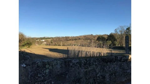 Terreno para Venda em Senhorim