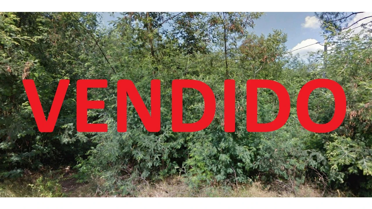 Terreno para Venda em Mangualde, Mesquitela e Cunha Alta Foto 1