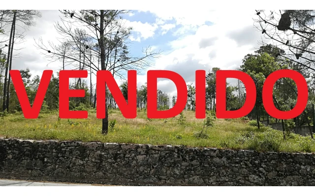 Terreno para Venda em Cunha Baixa