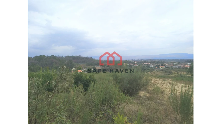 Terreno Agricola ou Rústico para Venda em Mangualde, Mesquitela e Cunha Alta Foto 1