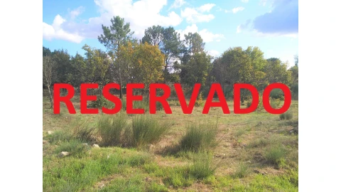 Terreno para Venda em Mangualde, Mesquitela e Cunha Alta